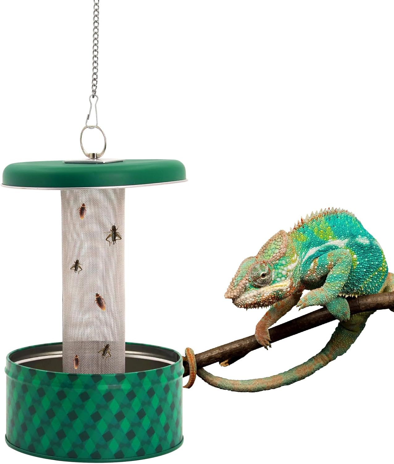 Water Dish Reptile - Mangeoire pour Dragon barbu, caméléon, bol