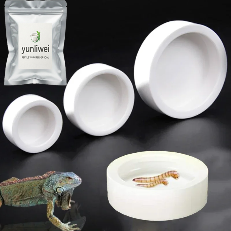 Water Dish Reptile - Bol à nourriture pour reptiles anti-évasion,