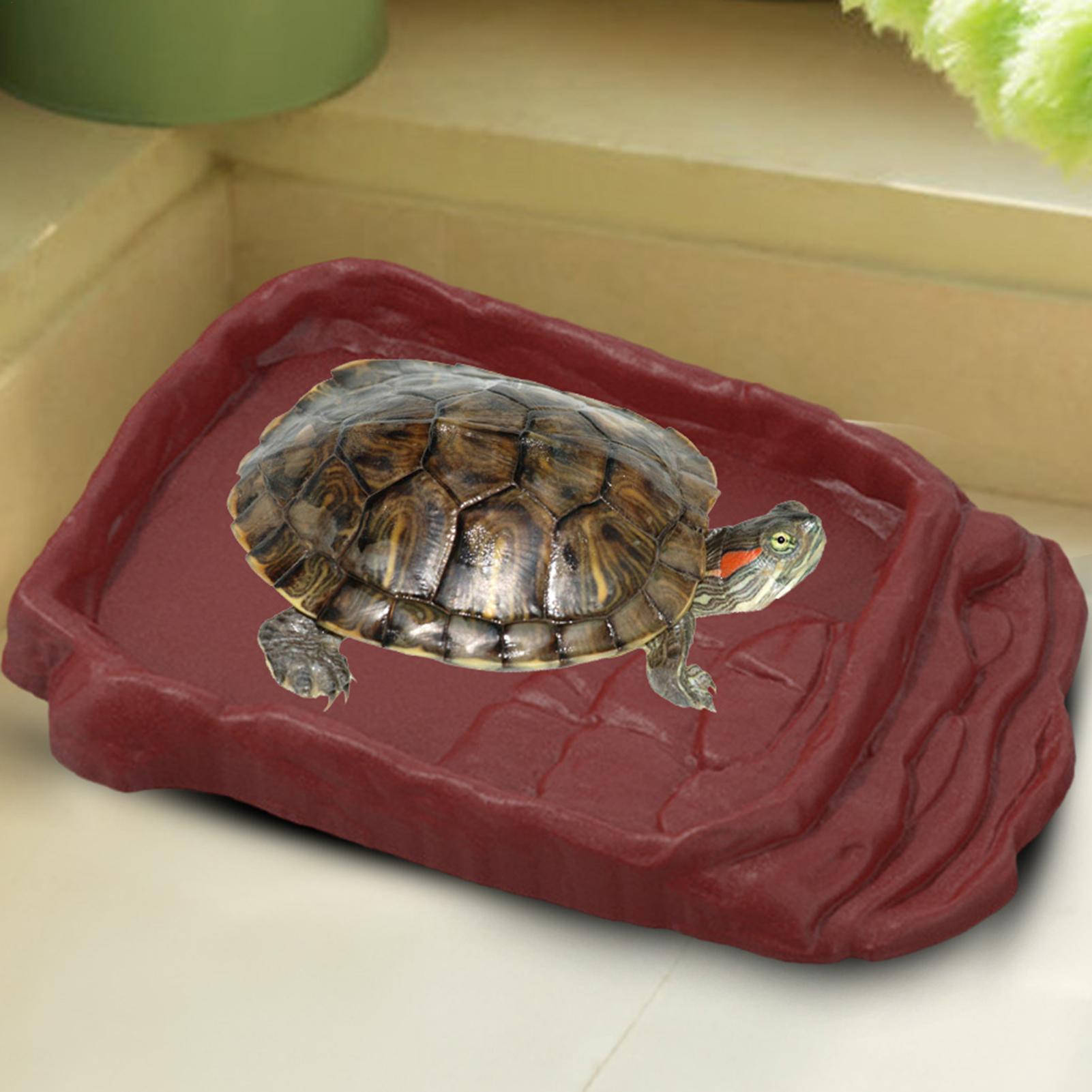 Water Dish Reptile - Baignoire pour tortue, abreuvoir, échelles antidérapantes,