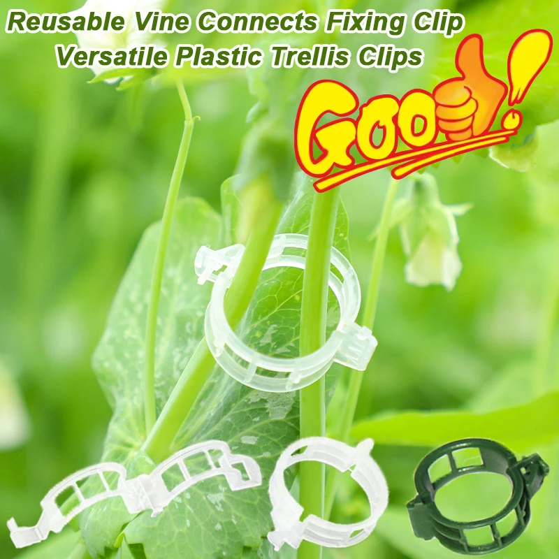 Clip de fixation de connexion  - Vine Climbing Plastic avis et prix
