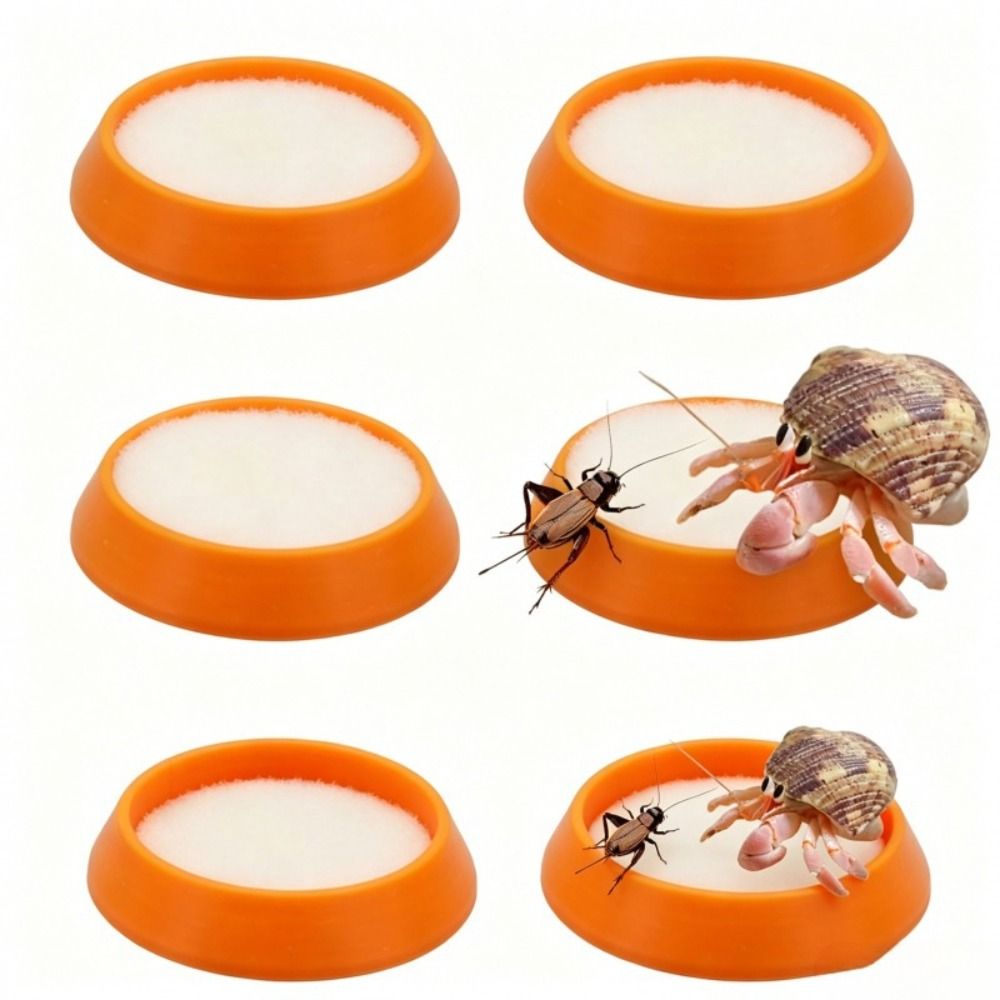 6 Pièces – Mini-bol d'alimenta - Water Dish Reptile avis et prix