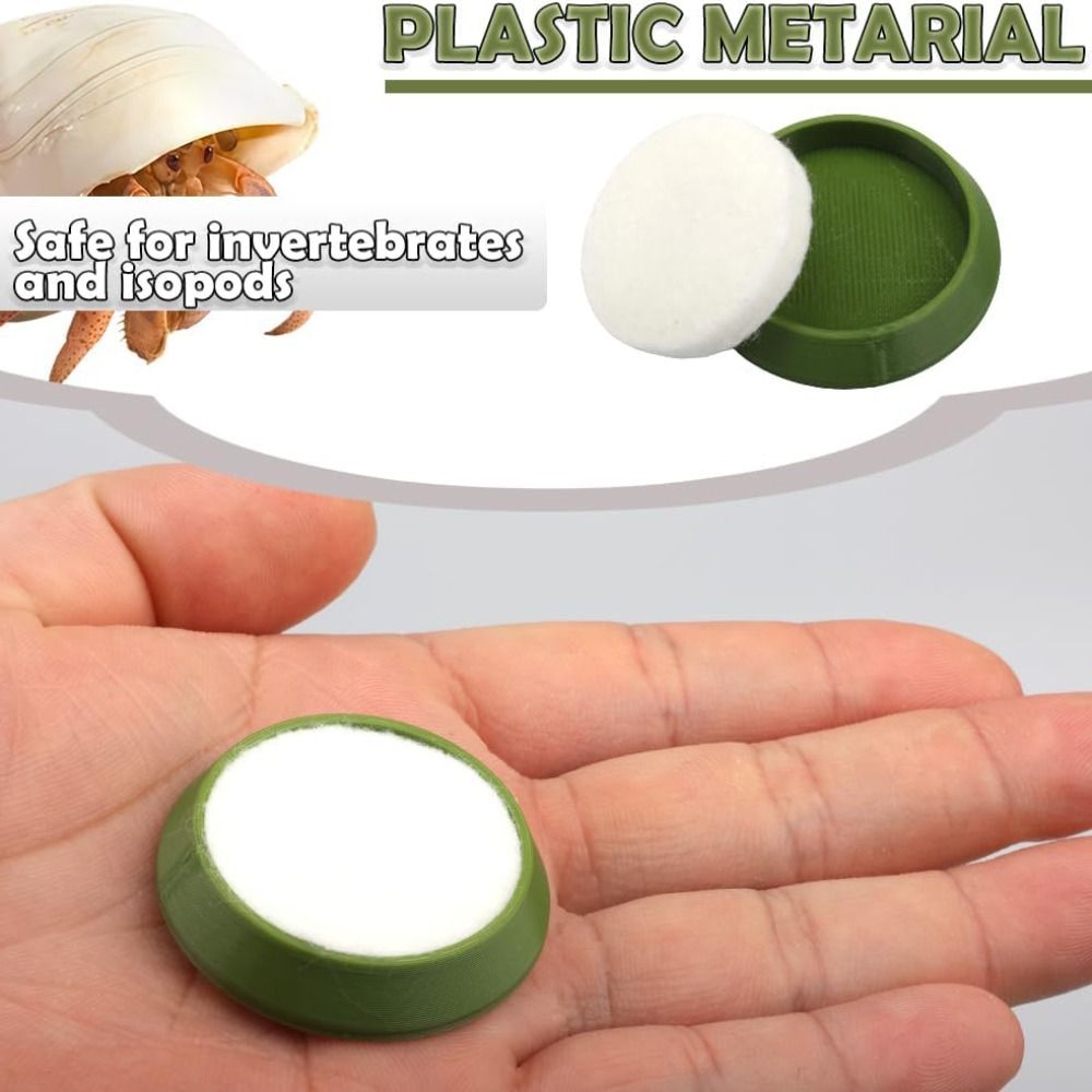 6 Pièces – Mini-bol d'alimenta - Water Dish Reptile avis et prix