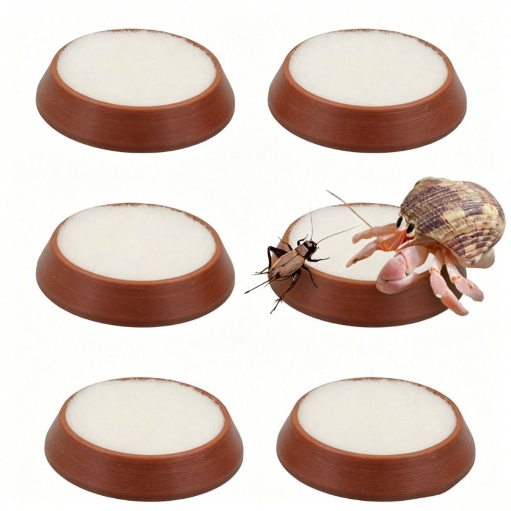 6 Pièces – Mini-bol d'alimenta - Water Dish Reptile avis et prix