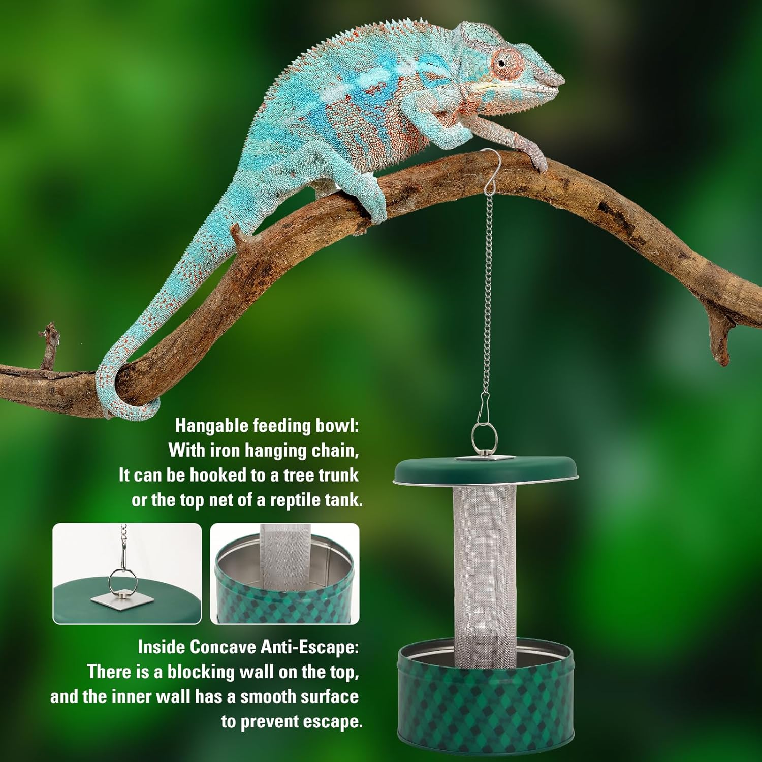 Mangeoire pour Dragon barbu, c - Water Dish Reptile avis et prix