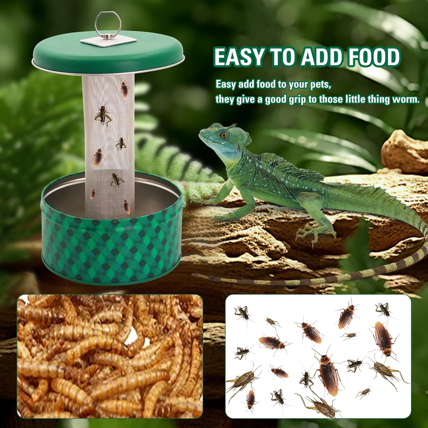 Mangeoire pour Dragon barbu, c - Water Dish Reptile avis et prix