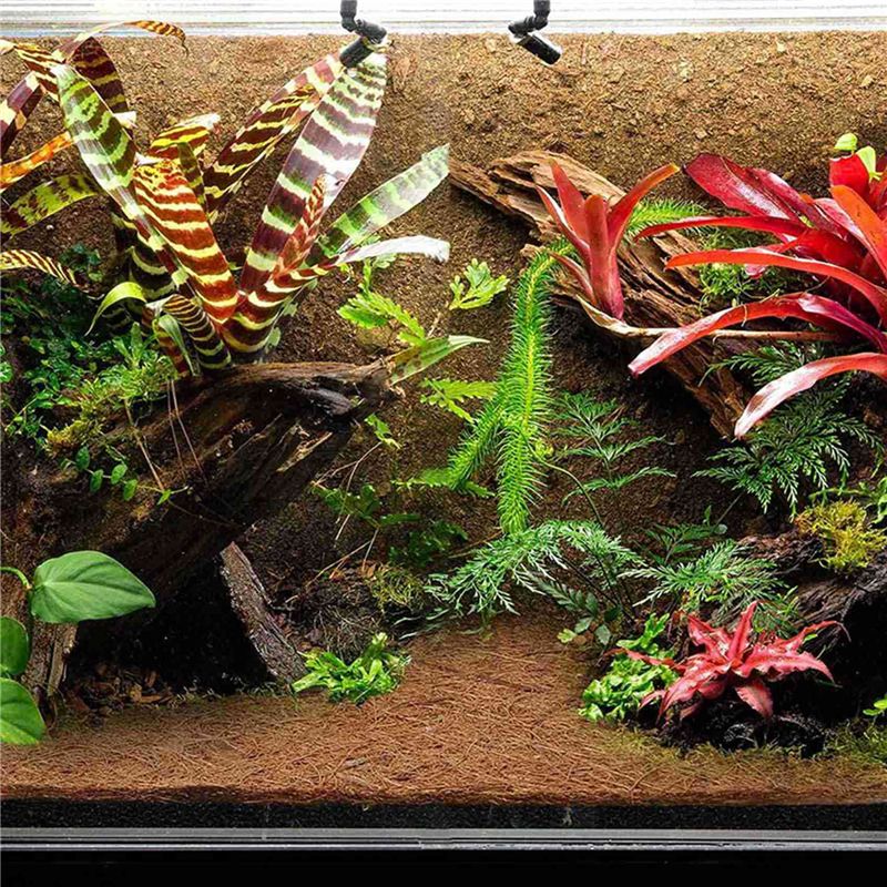 Tapis en fibres de coco nature - Substrate Coconut Fiber avis et prix