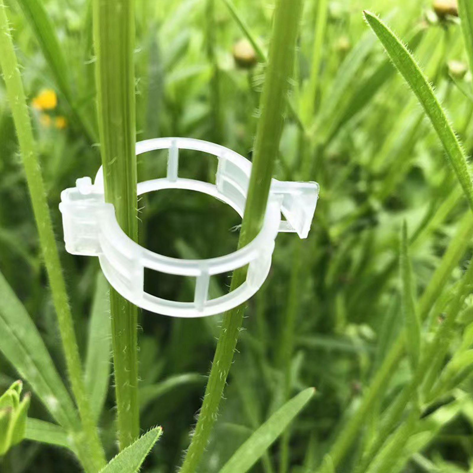 Clip de fixation en plastique  - Vine Climbing Plastic avis et prix