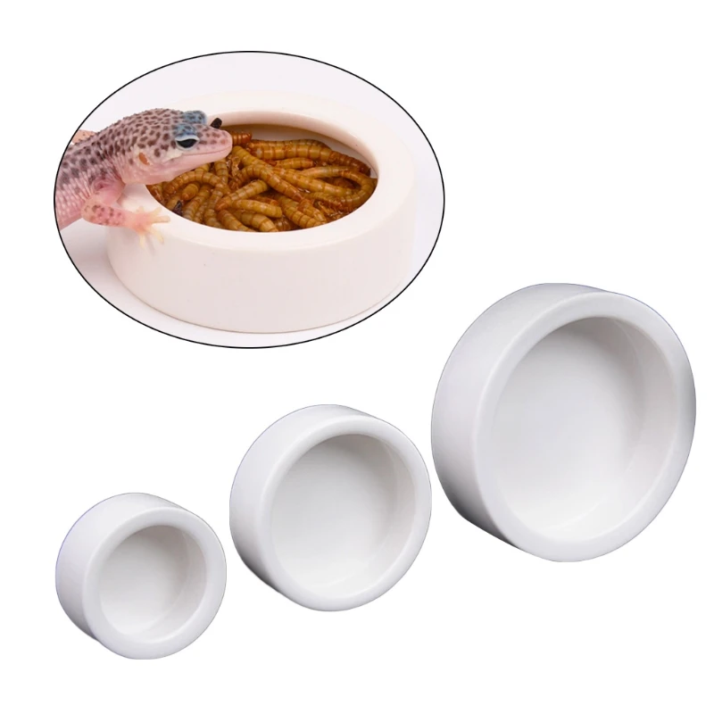 Bol à nourriture pour reptiles - Water Dish Reptile avis et prix